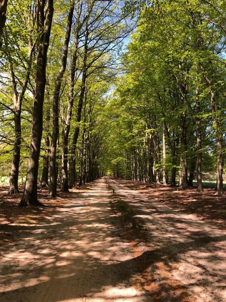Hotel Van Der Maas Ootmarsum Zewnętrze zdjęcie