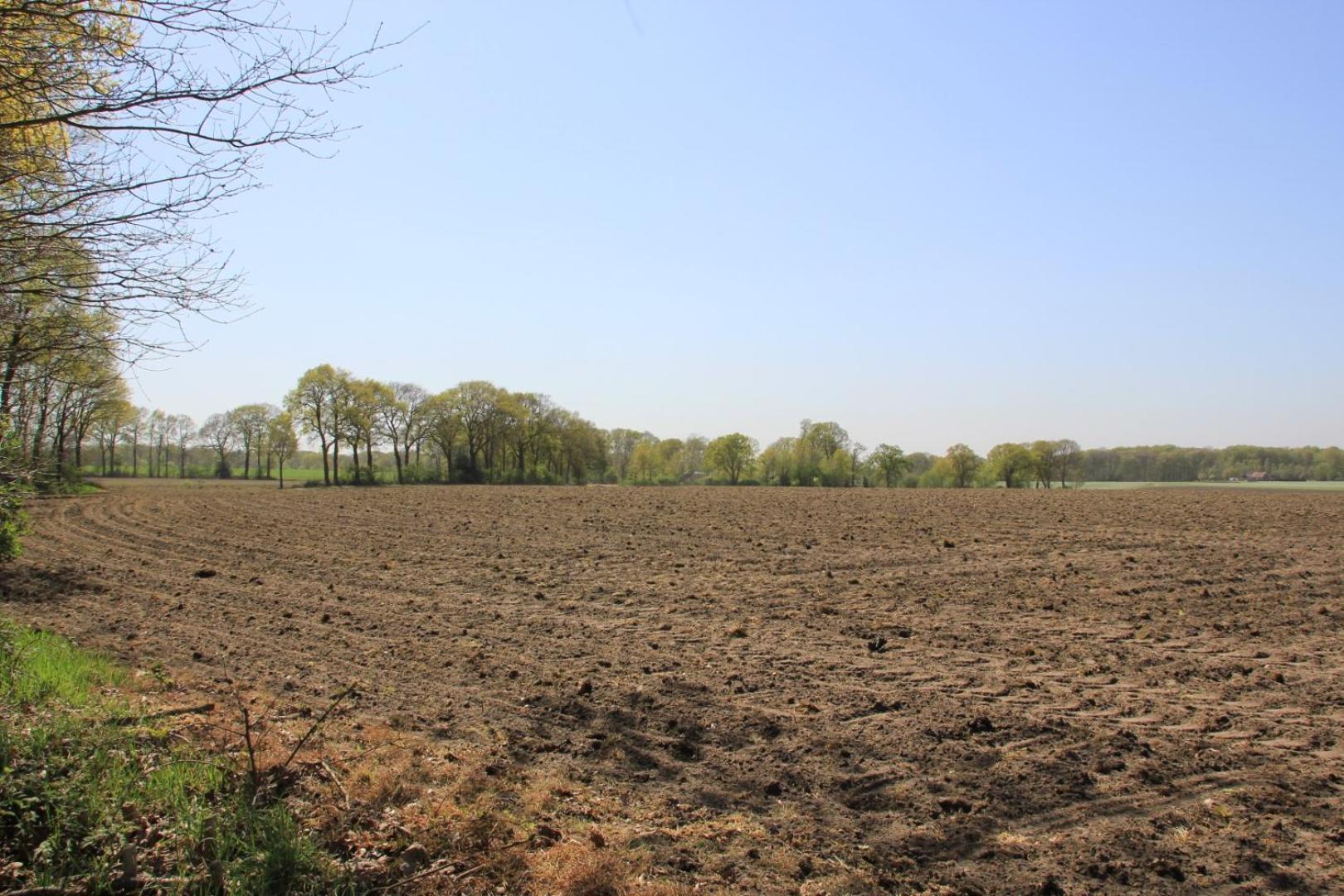Hotel Van Der Maas Ootmarsum Zewnętrze zdjęcie